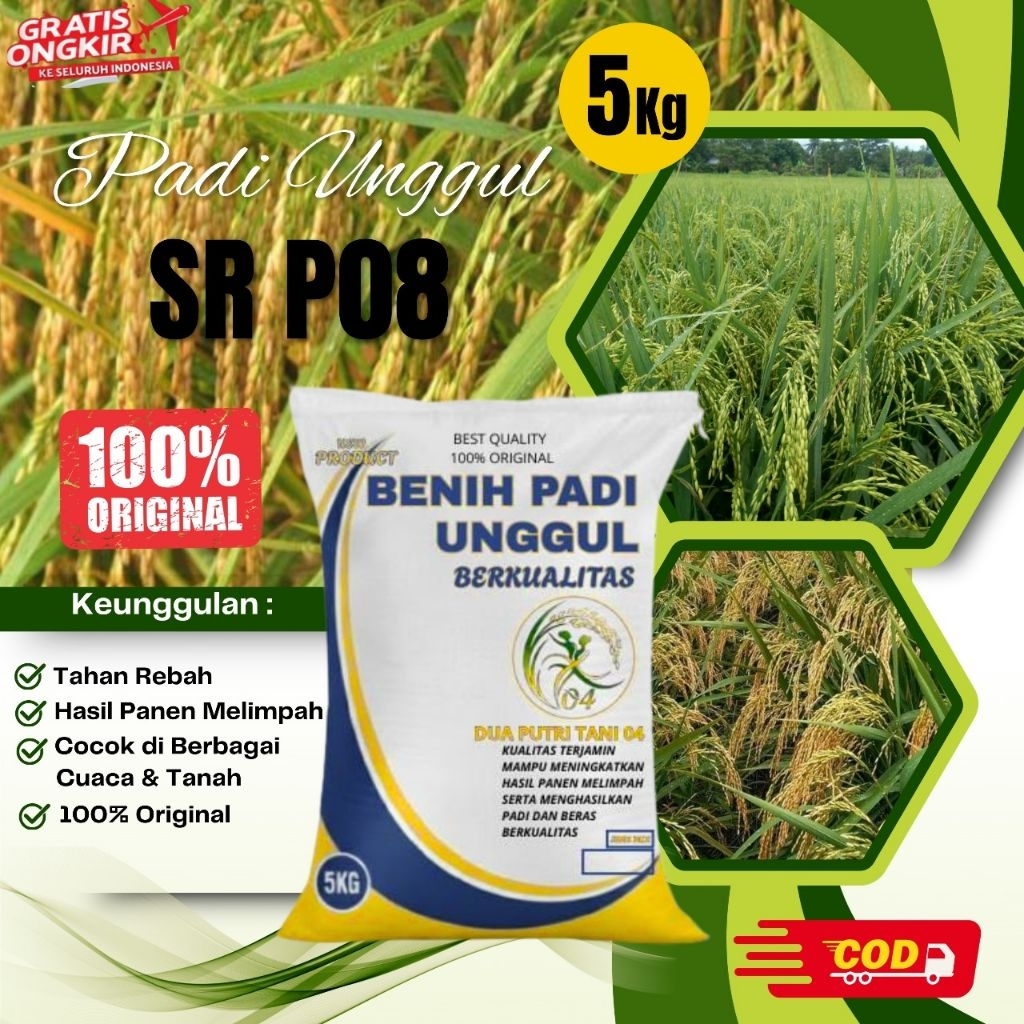 BIBIT PADI UNGGUL SR P 08 KEMASAN 5KG
