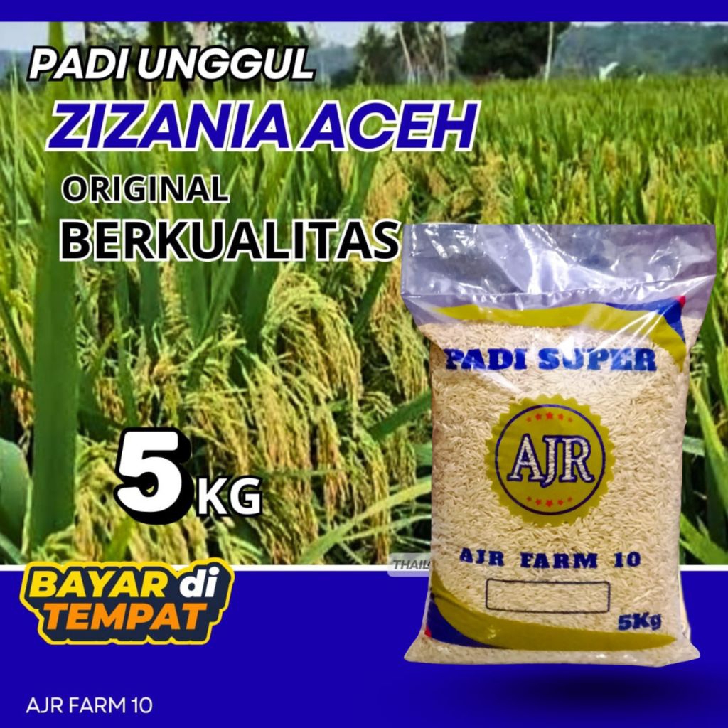 Benih padi unggul ZIZANIA ACEH 5Kg