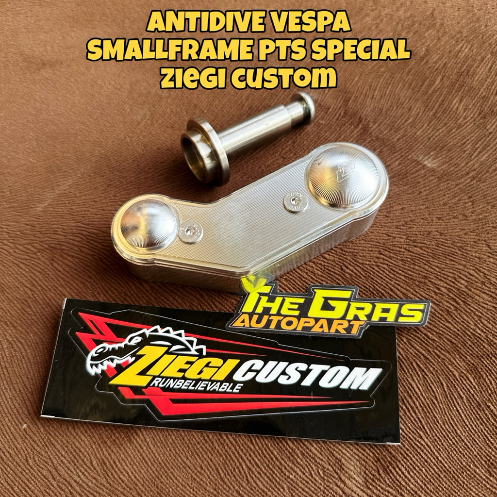 Antidive Vespa PTS Special Smallframe Ziegi Custom