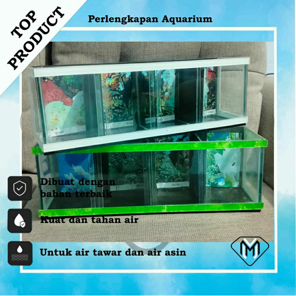 AQUARIUM KACA MINIMALIS SEKAT / AQUARIUM IKAN CUPANG / AQUARIUM SEKAT BONGKAR PASANG