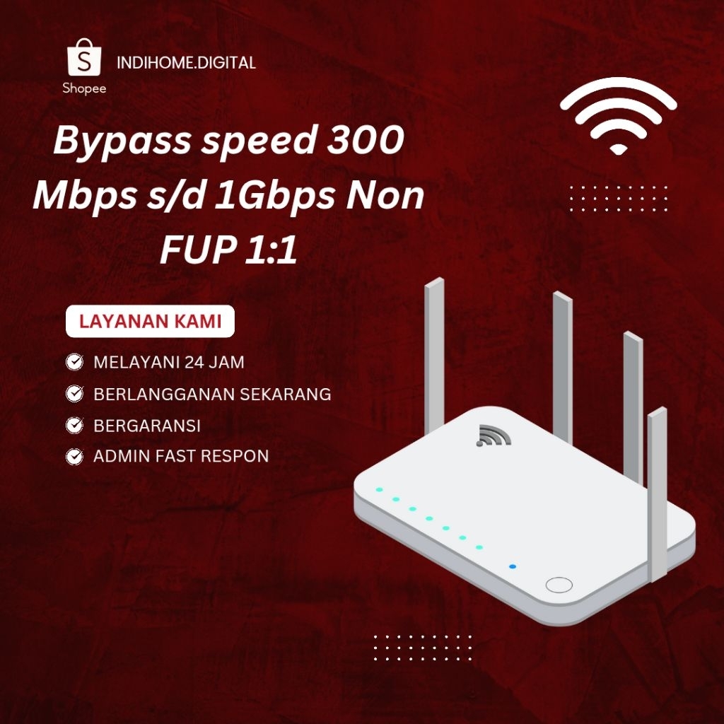 BYPASS SPEED 300 Mbps -  1Gbps NON FUP 1:1