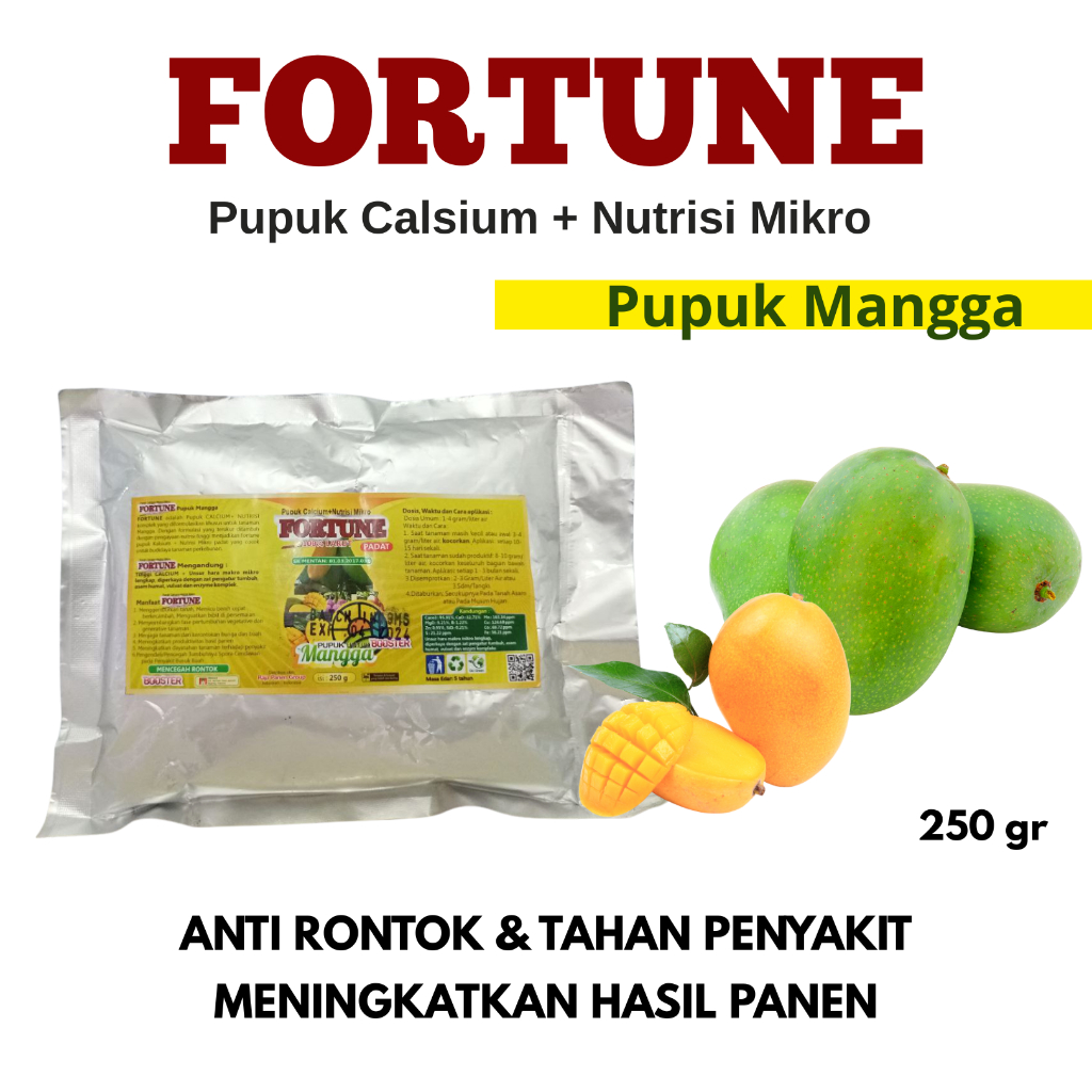 Pupuk Perangsang Buah Mangga, Booster Buah Mangga Agar Cepat Berbuah Lebat