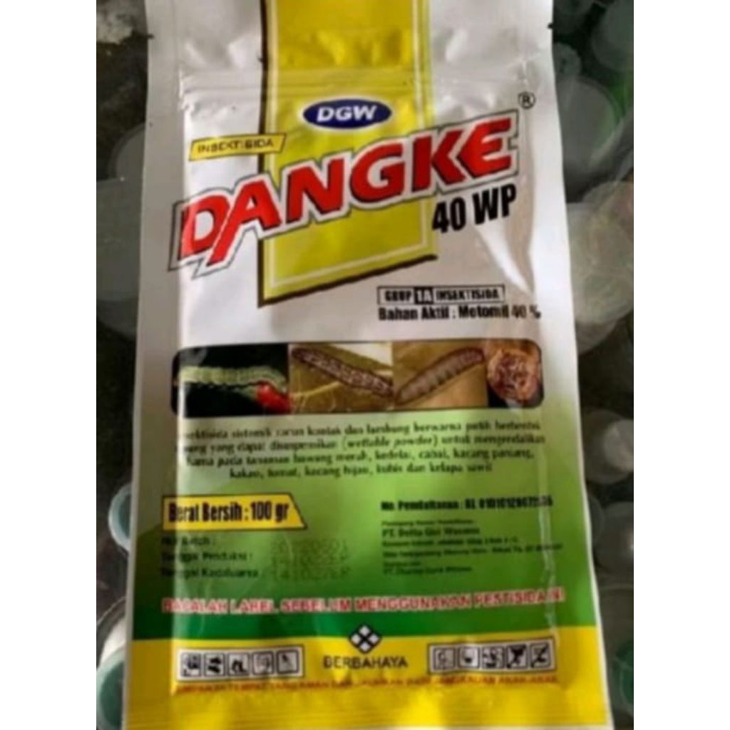 dangke 100g