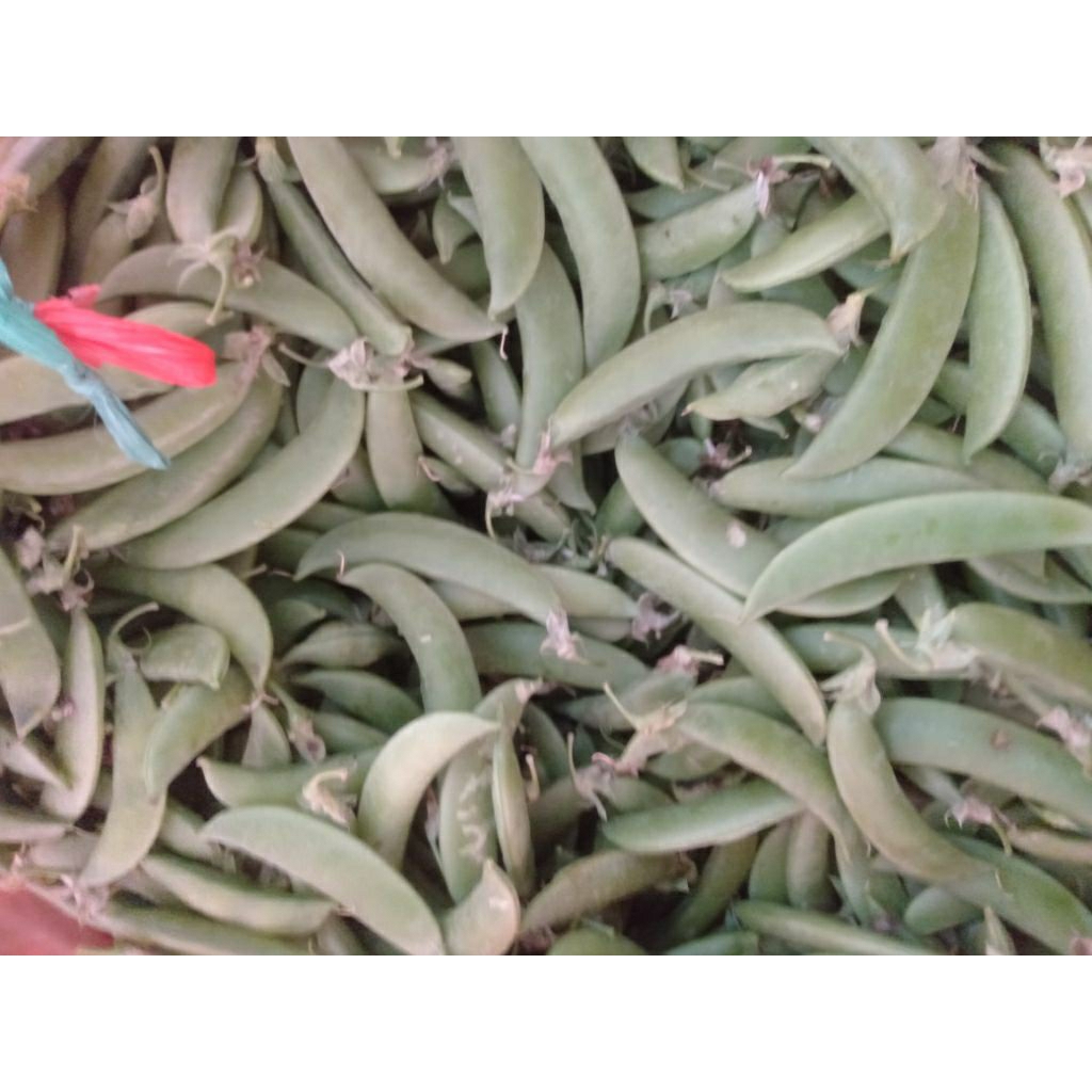 Sayur Ercis Arcis Kacang Kapri manis