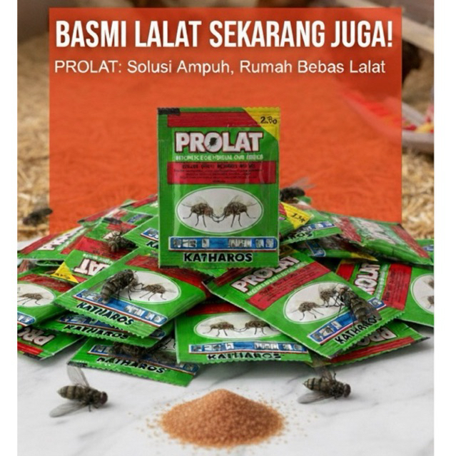 RACUN LALAT PROLAT