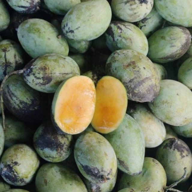 Mangga Madu Manalagi asli Probolinggo Spek Rujak Enak Manis Segar