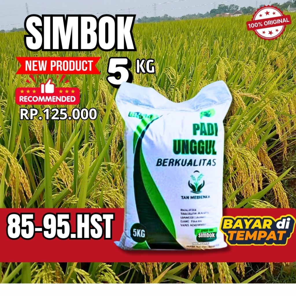 benih padi berkualitas benih padi SIMBOK 5kg