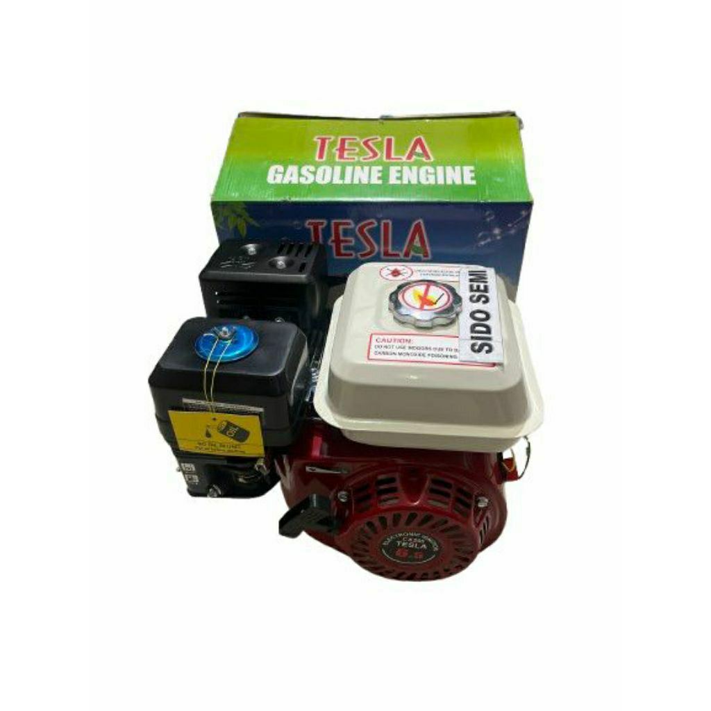 Engine Tesla CX200 (6,5hp) 6,5pk (4tak)