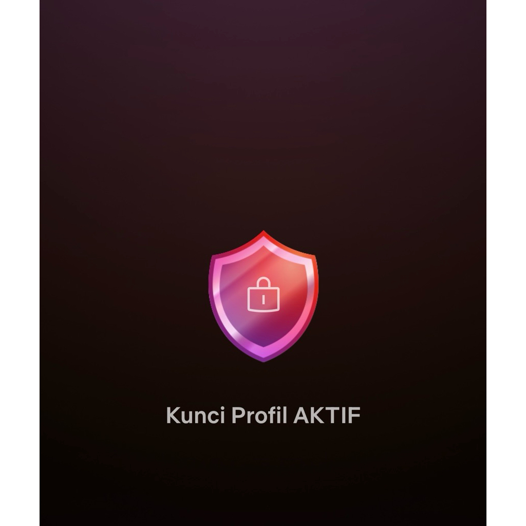 netflix private 1 bulan