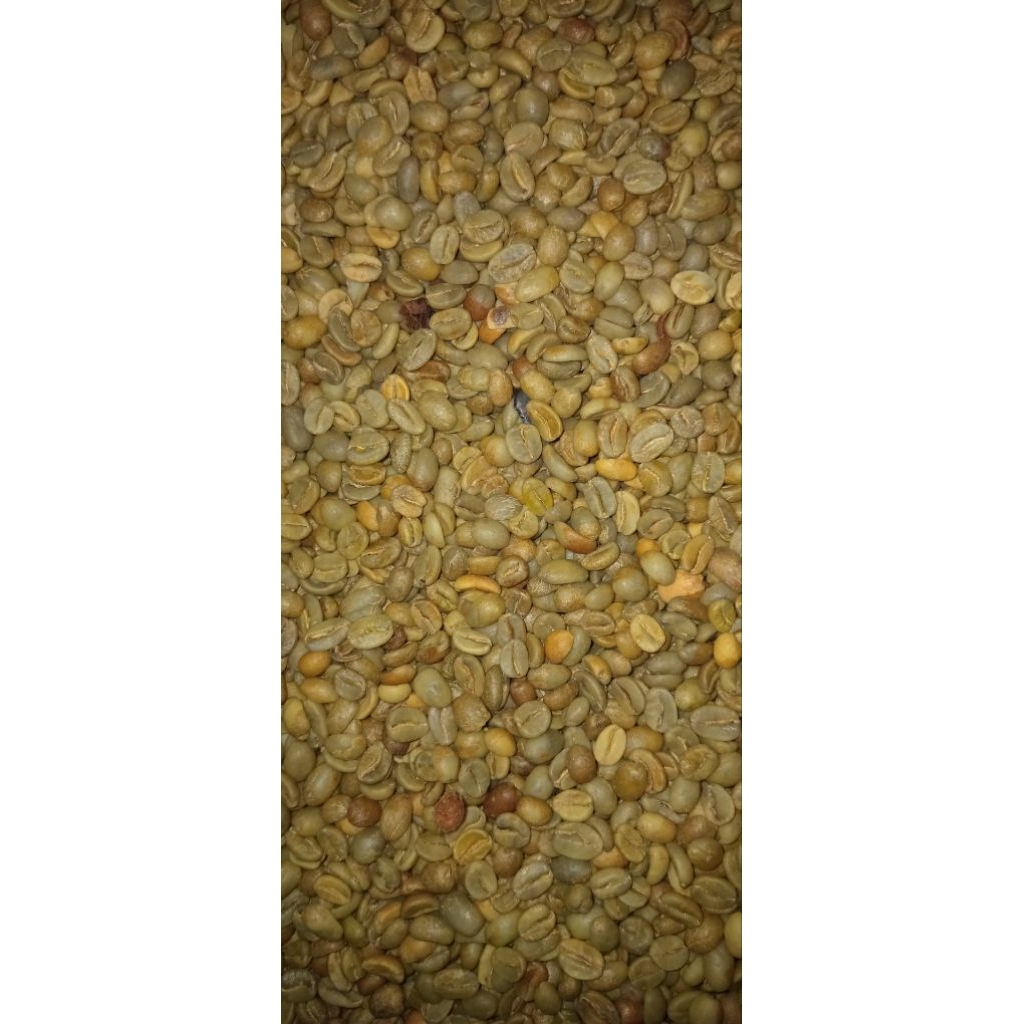 Green bean natural Enrekang | biji kopi mentah 1 kg