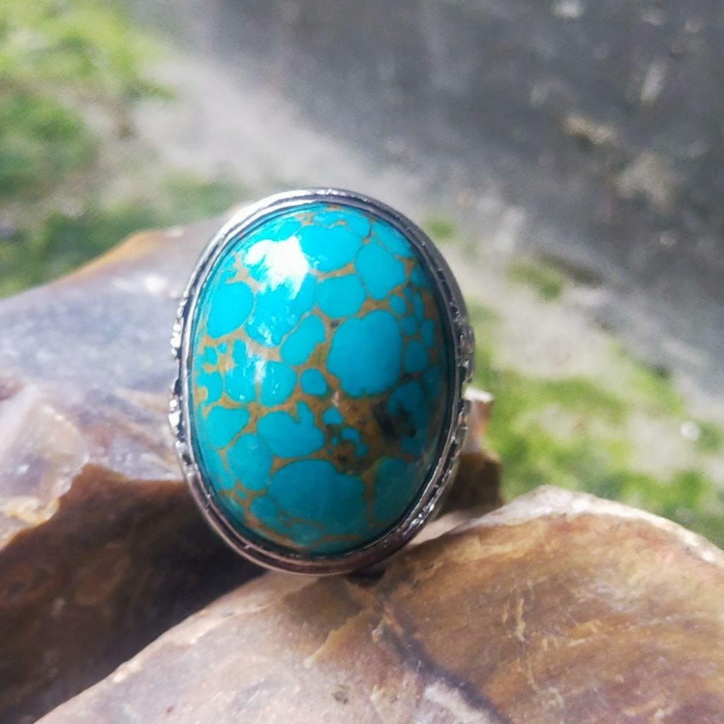 Pirus Persia dim jumbo