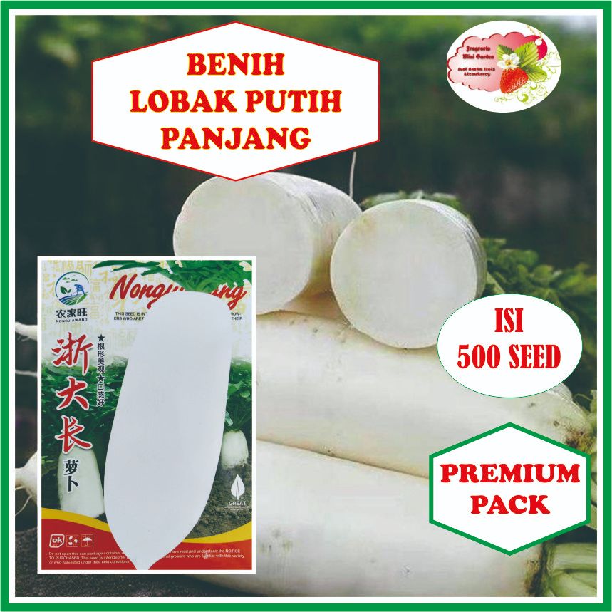 BENIH LOBAK PUTIH PANJANG ISI 500 BIJI