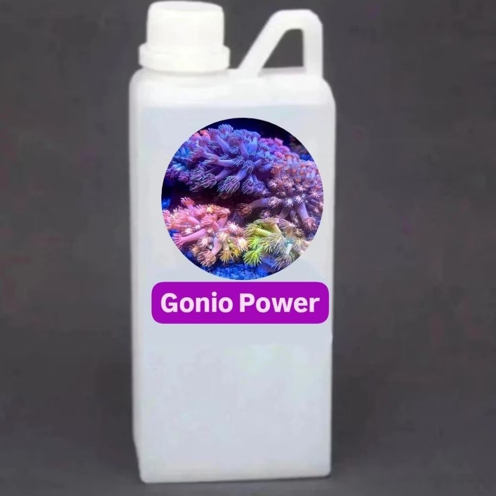 Dosing Reef Gonio Power untuk coral Goniopora, Alveopora, Batu Hiu, Batu Jeruk akuarium air laut Per