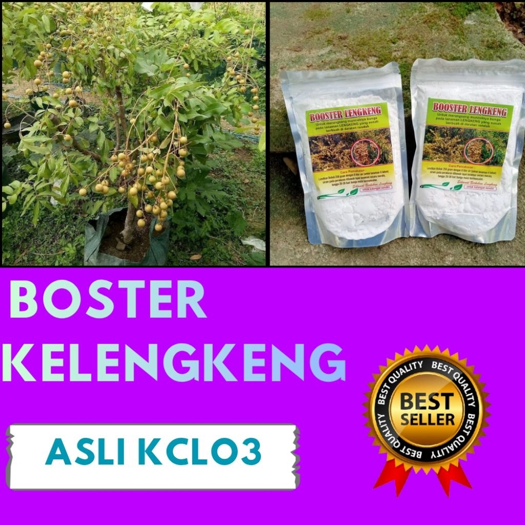 Pupuk Kelengkeng Kclo3