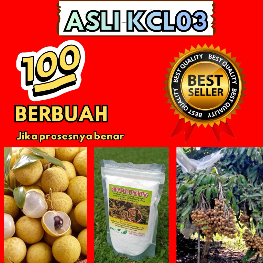 Boster Kelengkeng Kclo3