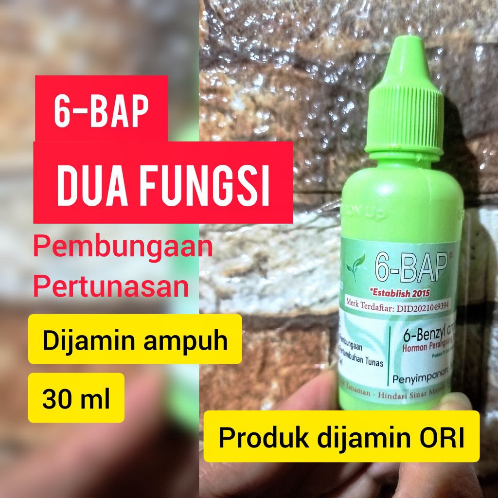 6-BAP, MONTAN AUKSIN GIBERELIN Hormon Pembungaan dan Pertumbuhan Penumbuh Bunga, Tunas, dan Keiki pa
