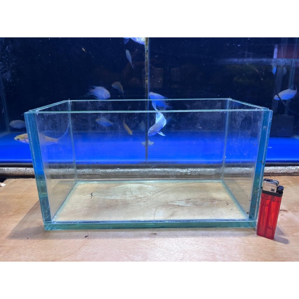 Akuarium GRATIS PACKING FOAM uk 30x15x15 | soliter cupang | akuarium kaca | akuarium mini | soliter 