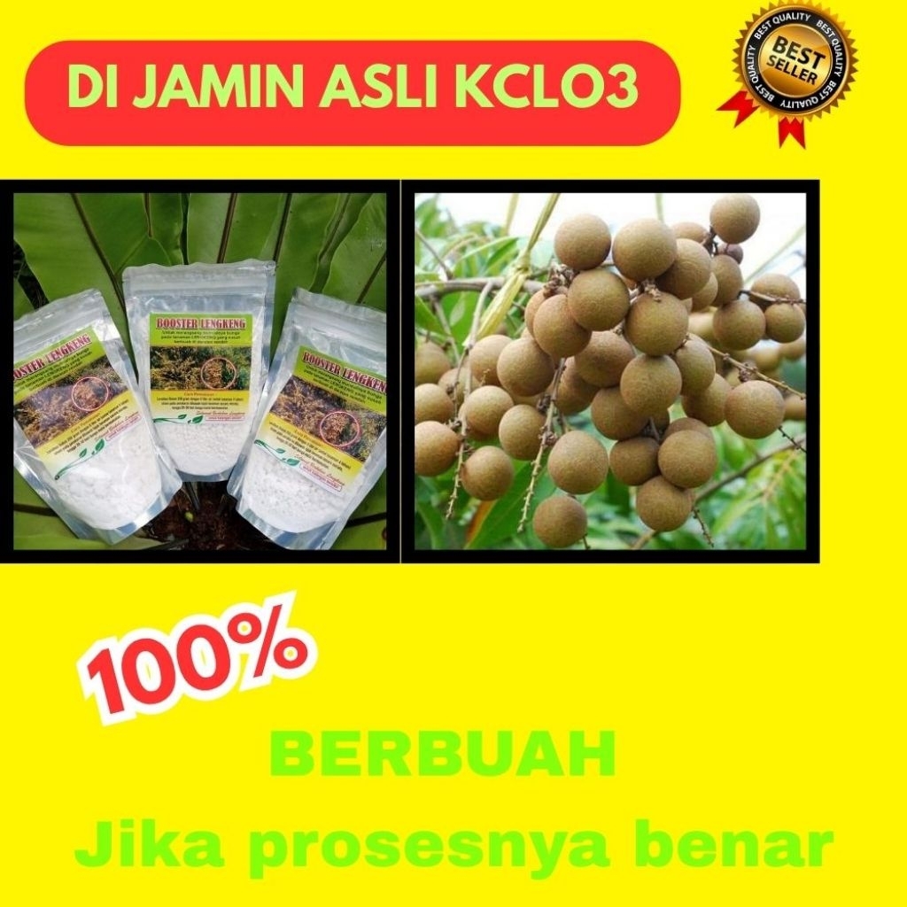 Booster Kelengkeng Terbaik, Booster Kelengkeng Terdekat