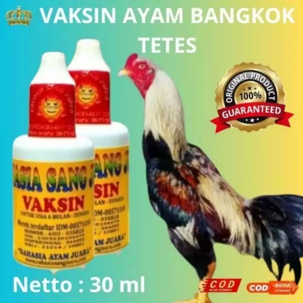 VAKSIN AYAM BANGKOK 6 BLN - DEWASA TETES