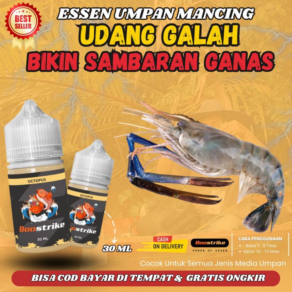 ESSEN MANCING UDANG GALAH LIAR PALING JITU