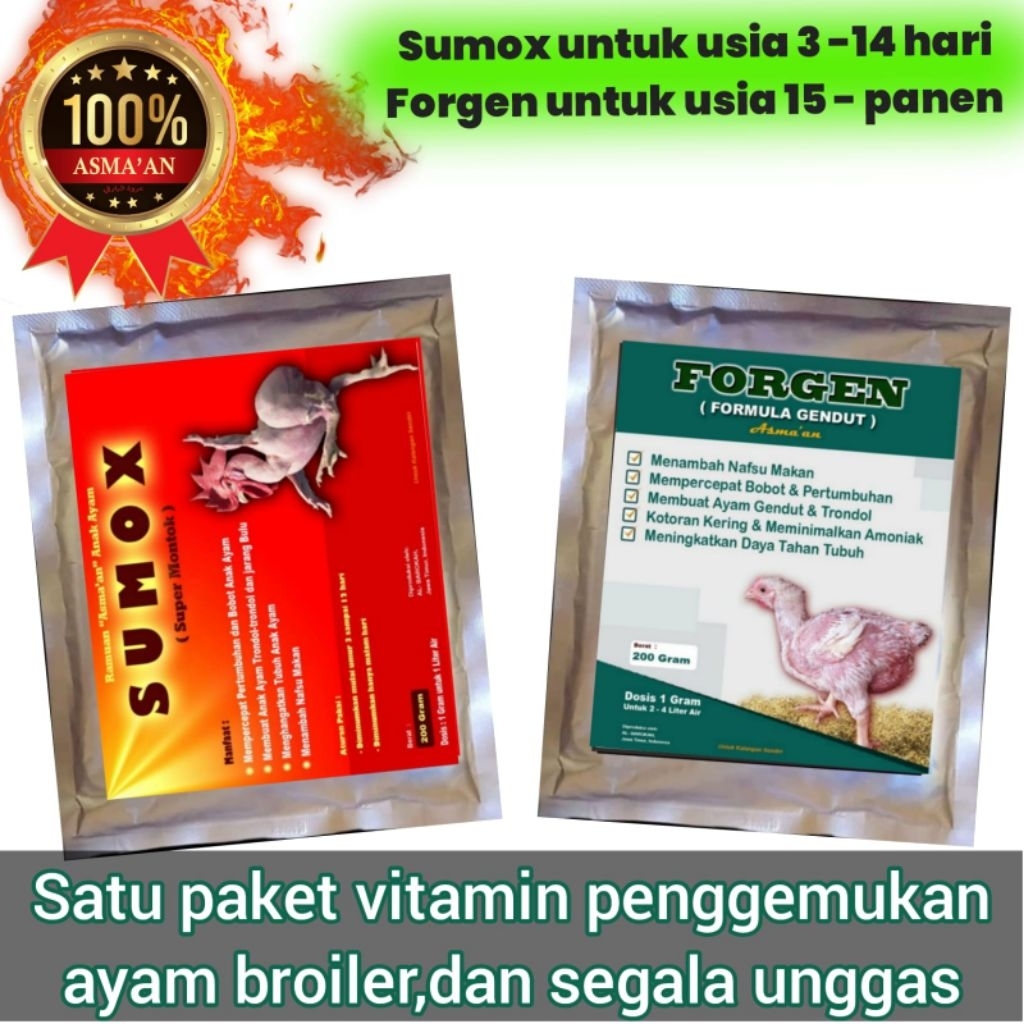 Sumox dan forgen satu paket penggemukan
