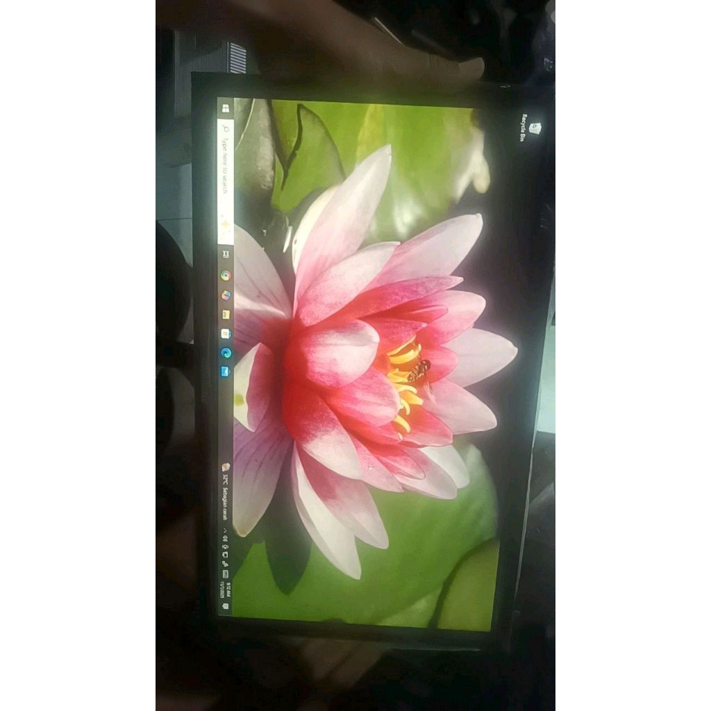 monitor LED 19 Samsung