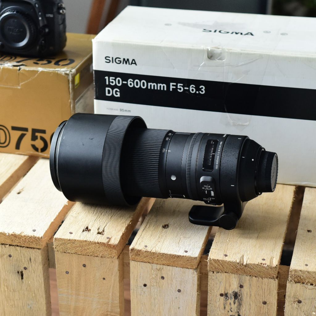 lensa sigma 150-600mm contemporer for nikon