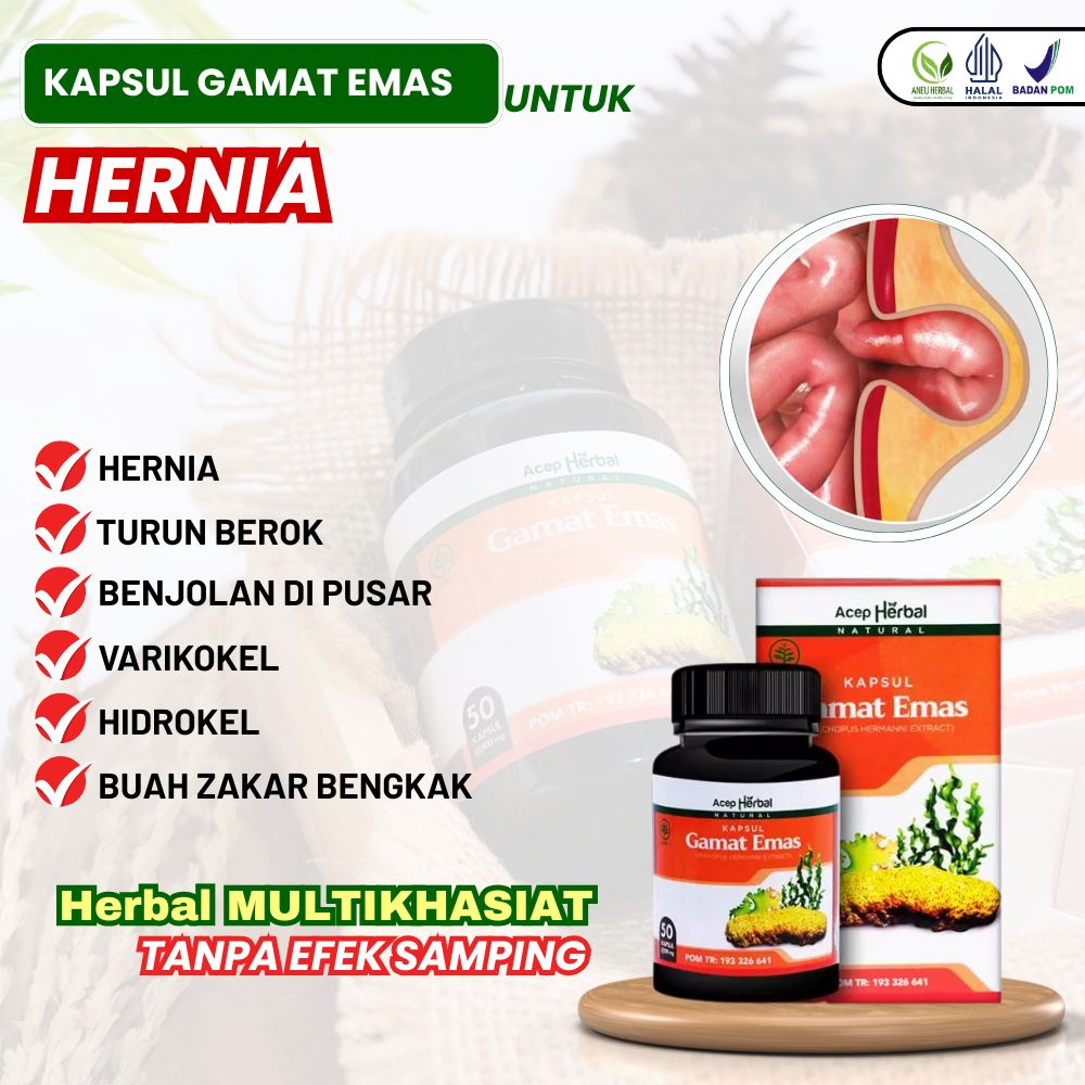 Herbal Untuk Hernia Turun Berok Buah Zakar Bengkak Nyeri Buah Zakar Varikokel Hidrokel Benjolan Di B