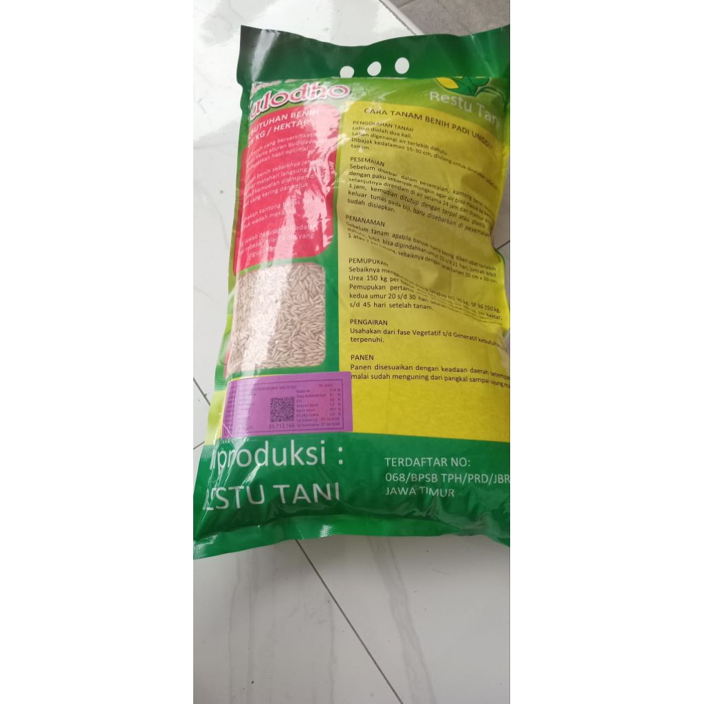 benih padi ciherang banyuwangi