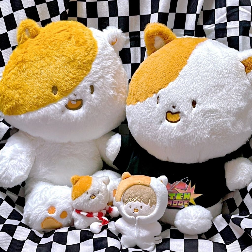 pocketjji 40cm doll jisung nct dream