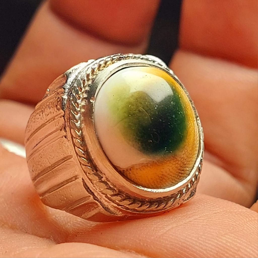 Cincin keong buntet laut asli keong tembus senter