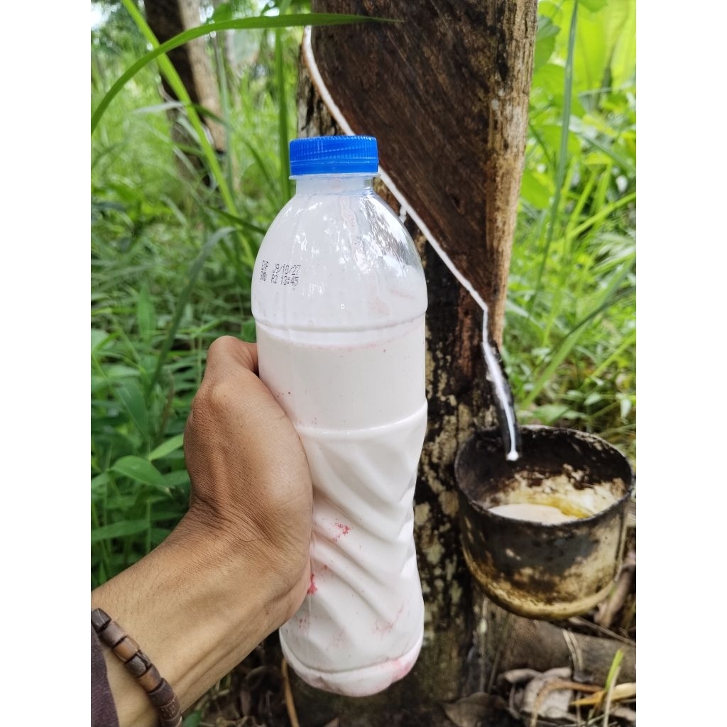 Getah Karet Alam Asli Getah karet Mentah murni isi 600ml multifungsi