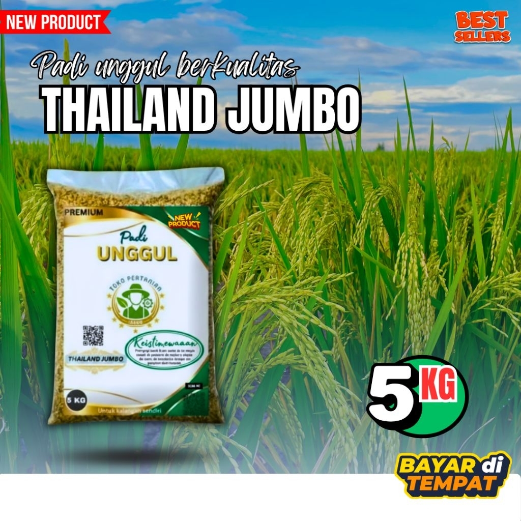 Benih padi unggul thailand jumbo original benih padi 5kg