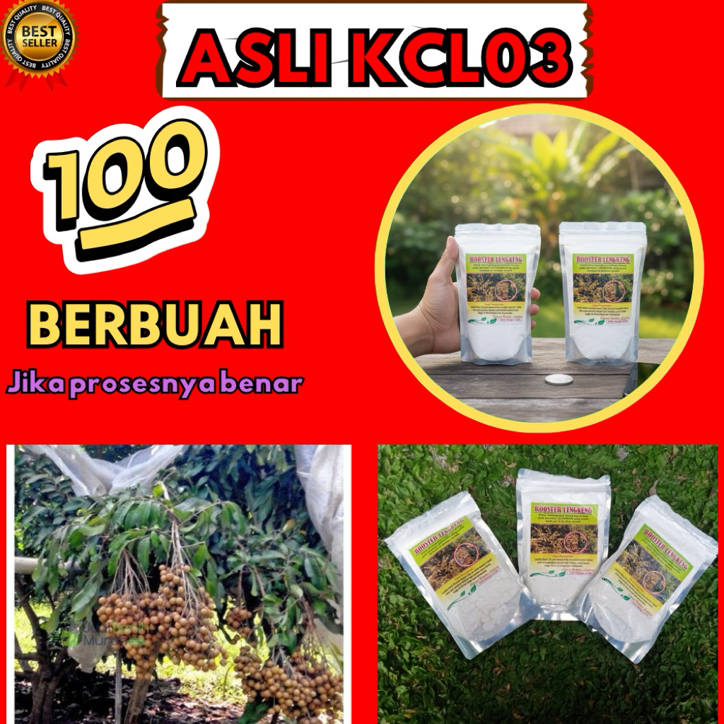 Pupuk Kelengkeng Kclo3, Pupuk Kelengkeng Merah, Pupuk Kelengkeng New Kristal