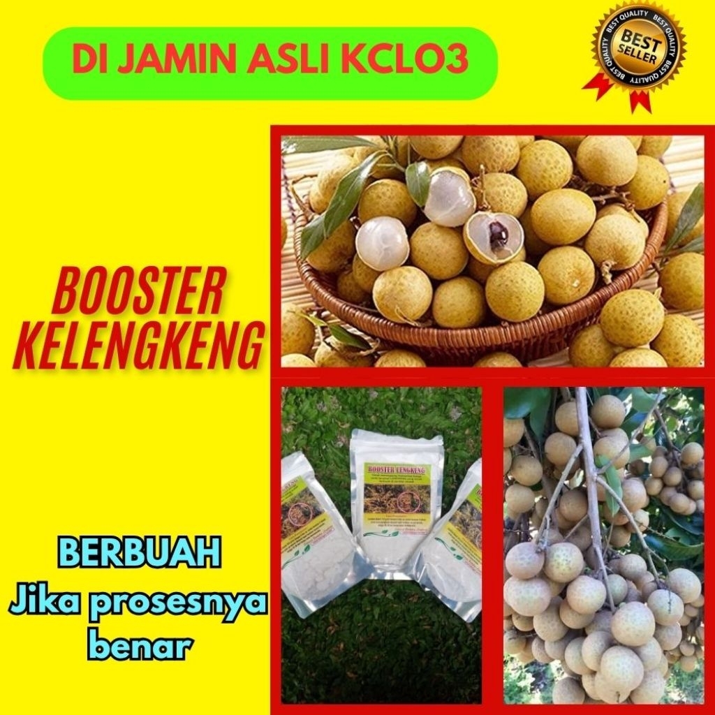 Booster Kelengkeng Terbaik, Booster Kelengkeng Terdekat
