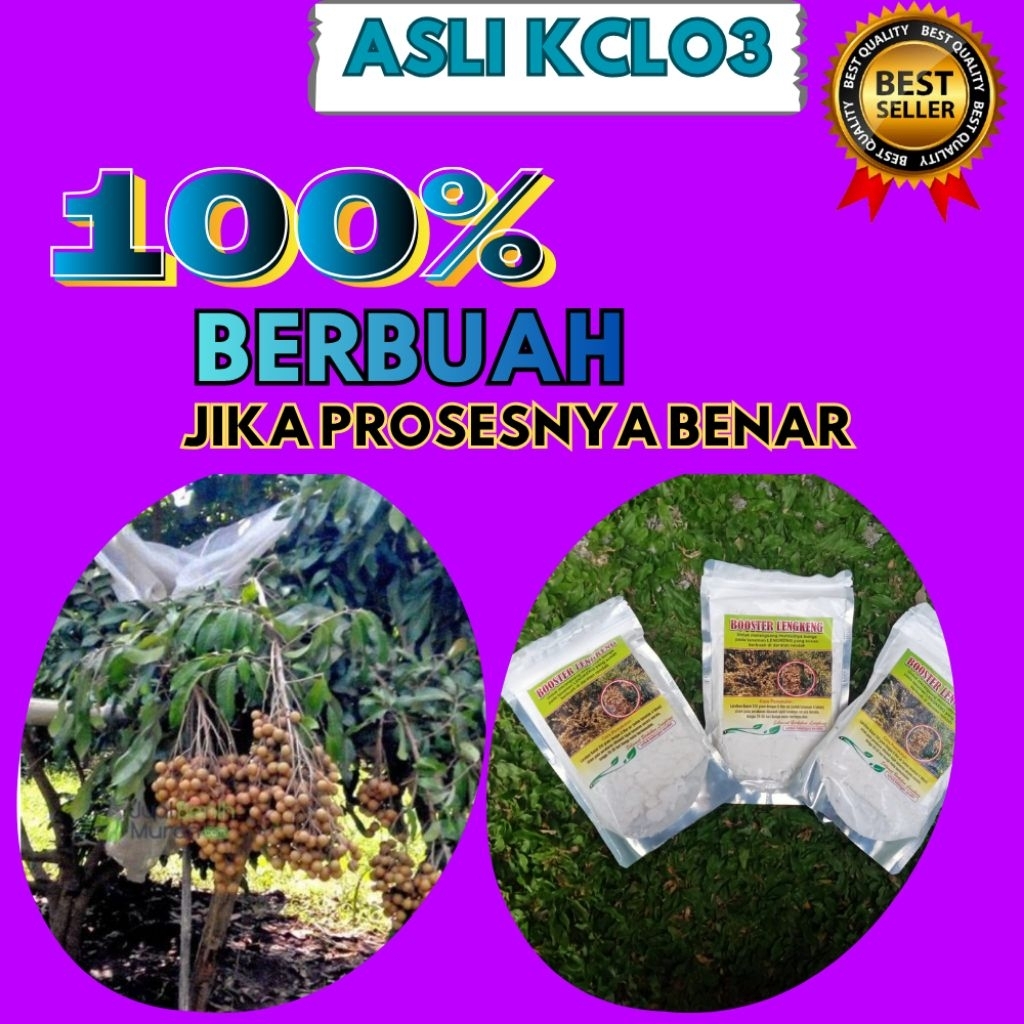 Booster Kelengkeng Untuk Mercon, Booster Kelengkeng Yang Bagus, Booster Kelengkeng 1Kg