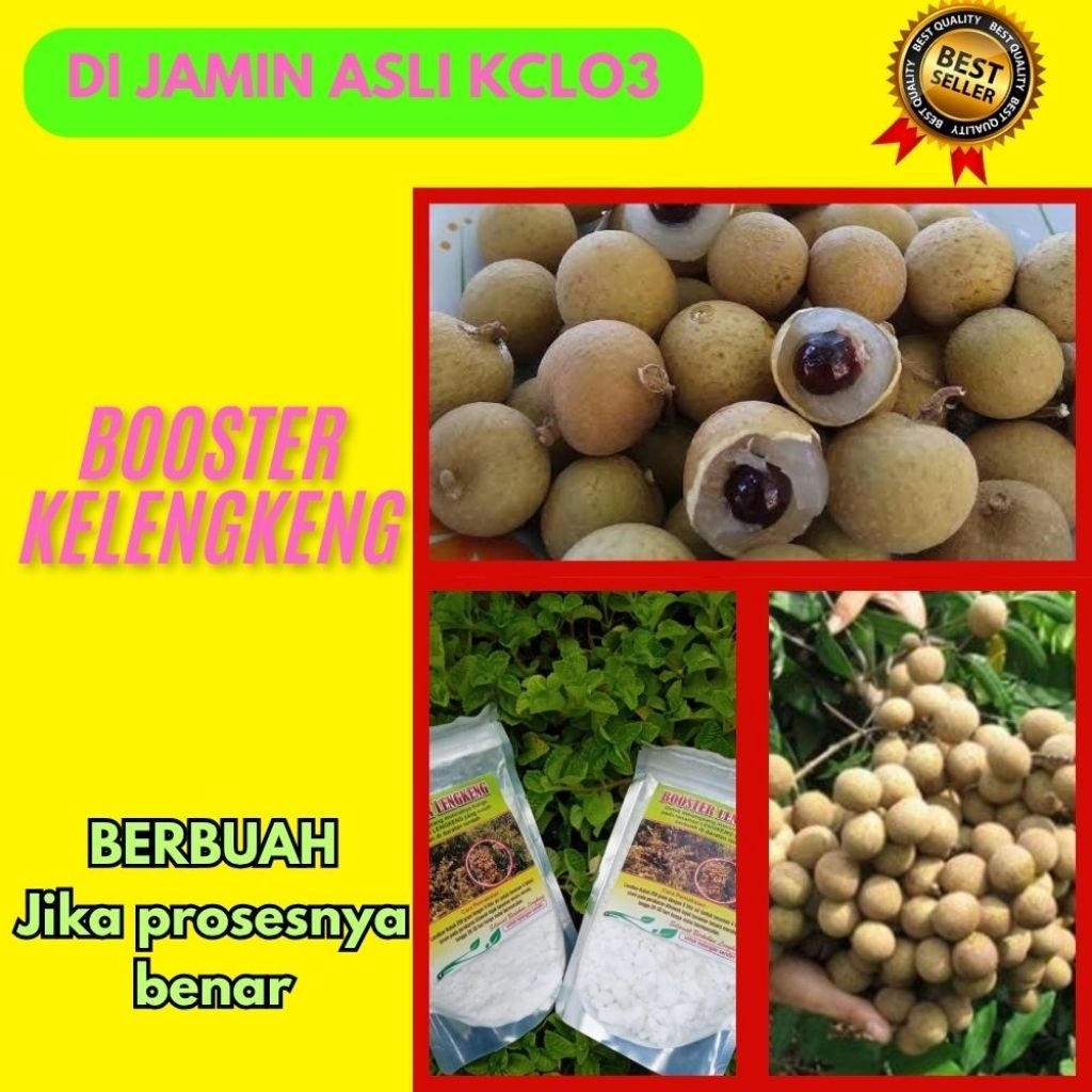 Booster Kelengkeng Yang Bagus, Booster Kelengkeng 1Kg