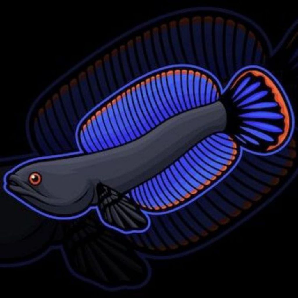 stiker andrao 7cm berkualitas