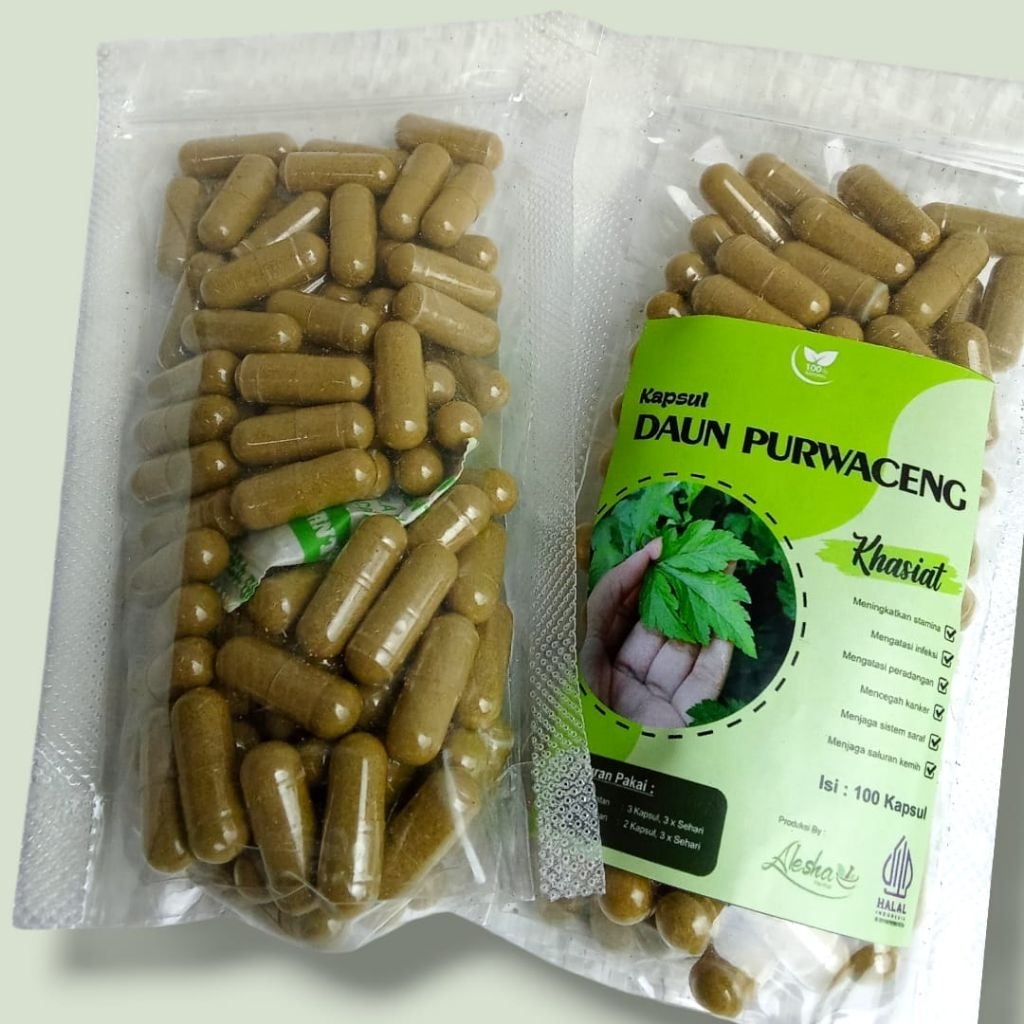 jamu purwaceng kapsul murni/ kapsul purwoceng murni isi 100 kapsul / meningkatkan stamina/ mengatasi