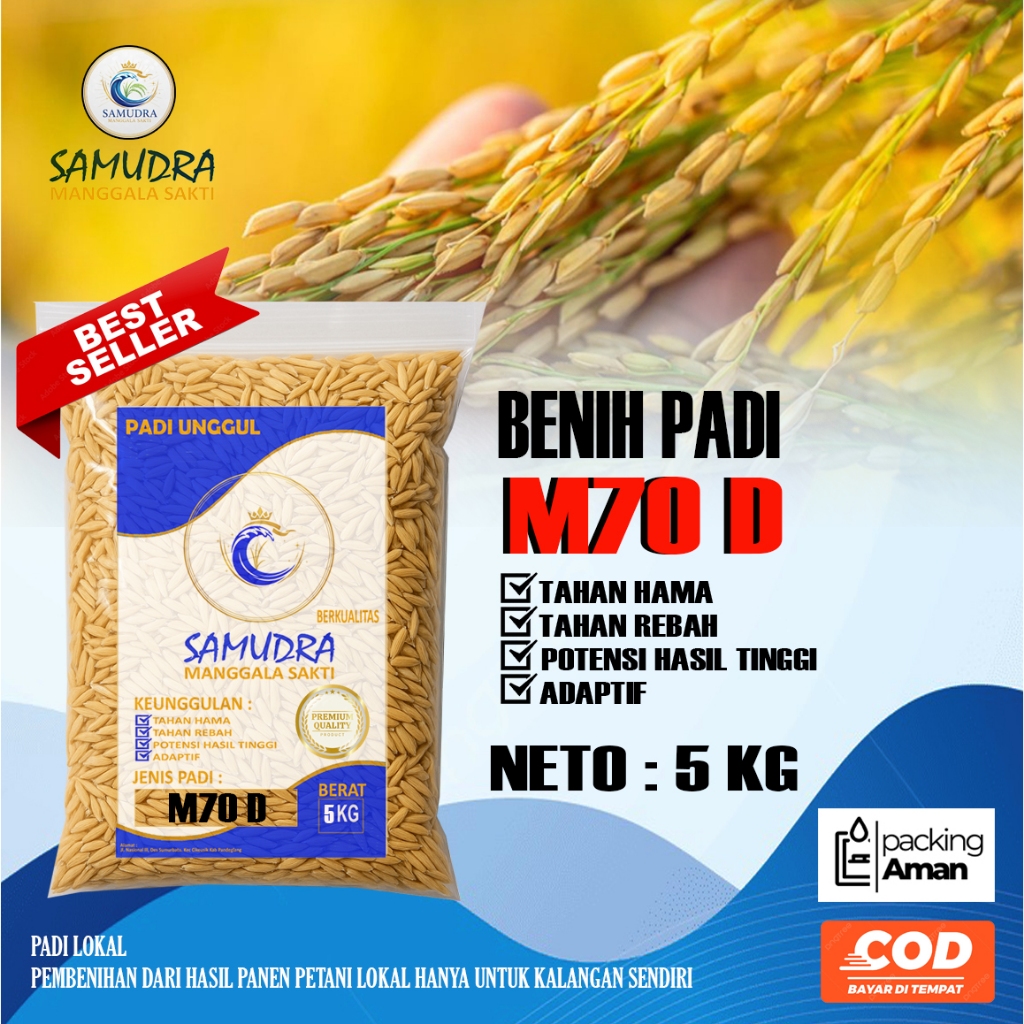 Benih Padi M70 D Kemasan 5 KG