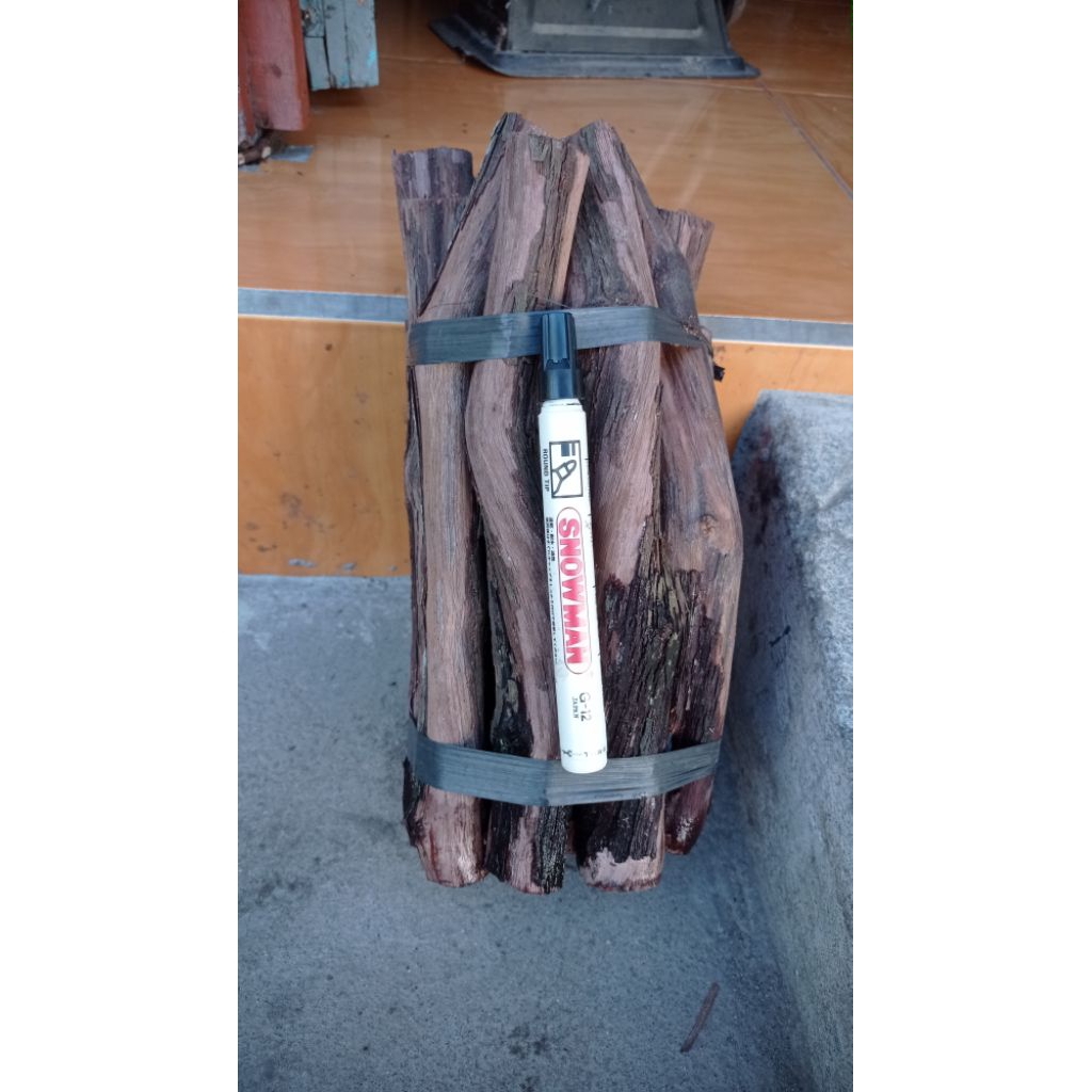 rootstok anggur isabela fresh ukuran jumbo