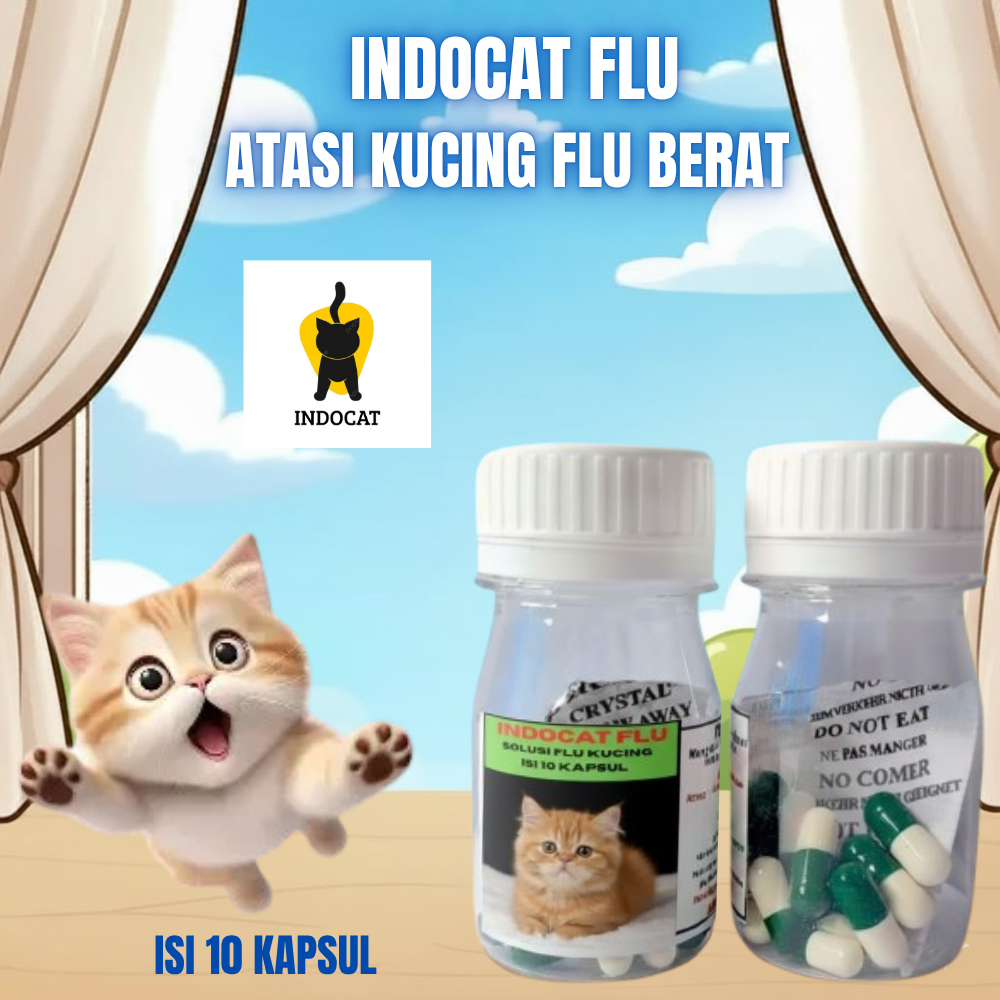 Indocat-Flu Obat Flu Kucing Ampuh Paten Flu Pilek Kucing / Obat Flu Kucing