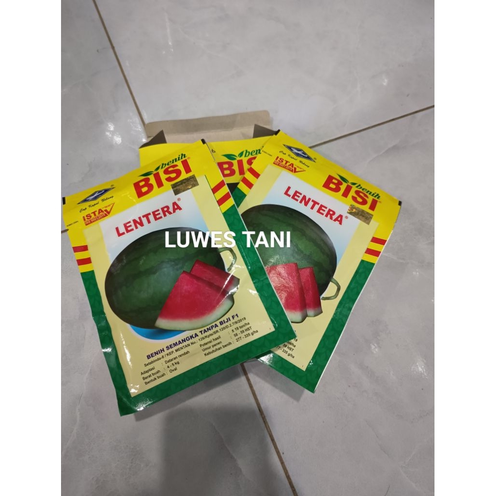 Benih Bibit Semangka Non Biji Lentera F1(Tahan Cuaca buruk ekstrim hasil panen melimpah) Isi 20 Gram