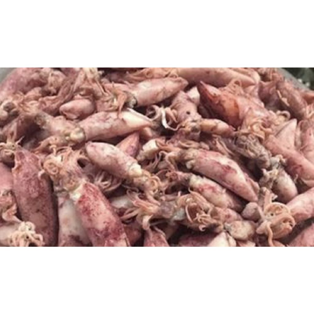 Baby Cumi mini - cumi Asin 1 kg termurah kesat terlezat kering