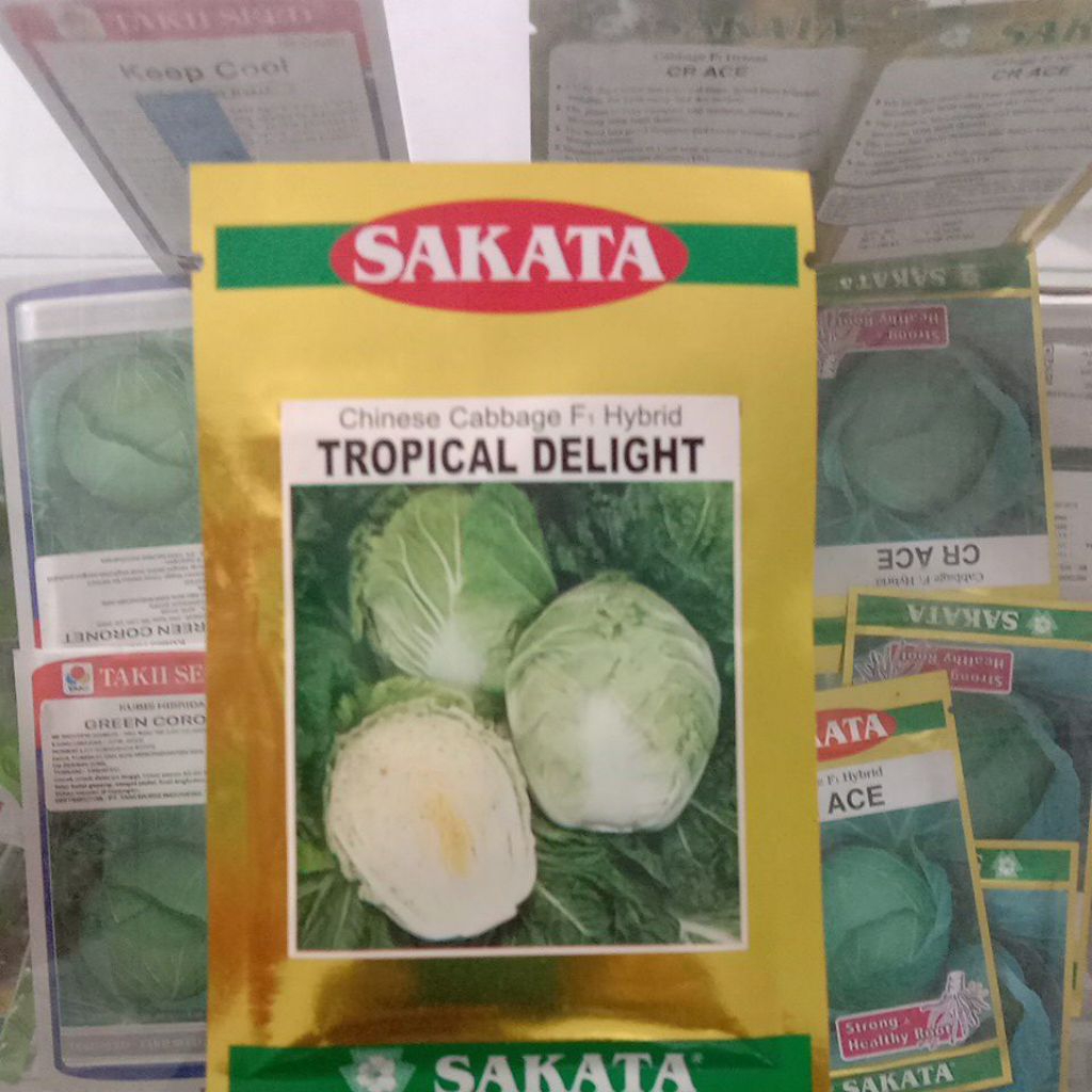 Benih Sawi Putih Tropical delight 10gr