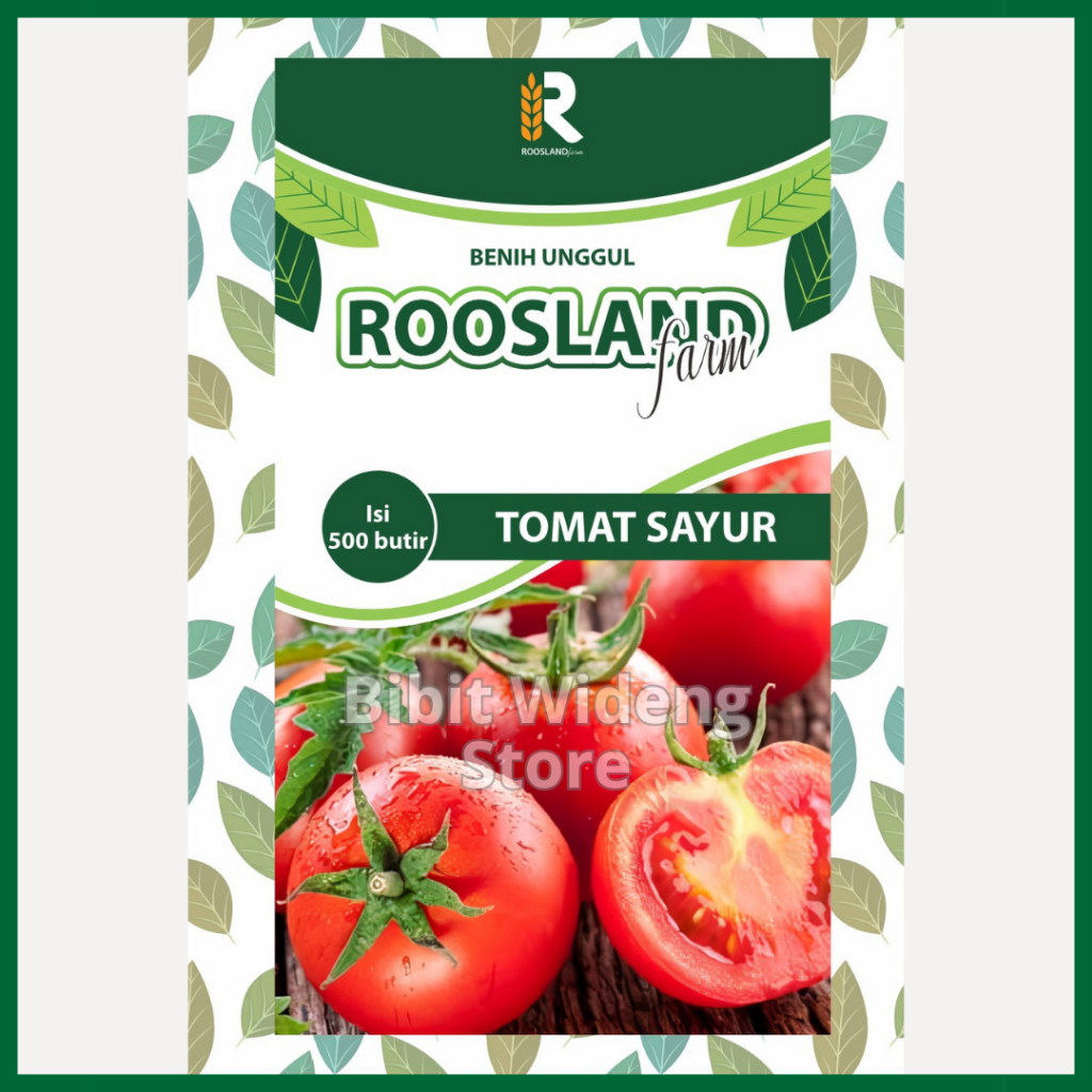 ( 500 BENIH ) TOMAT MERAH SAYUR | TOMAT SAYUR | TOMAT SAYUR MERAH