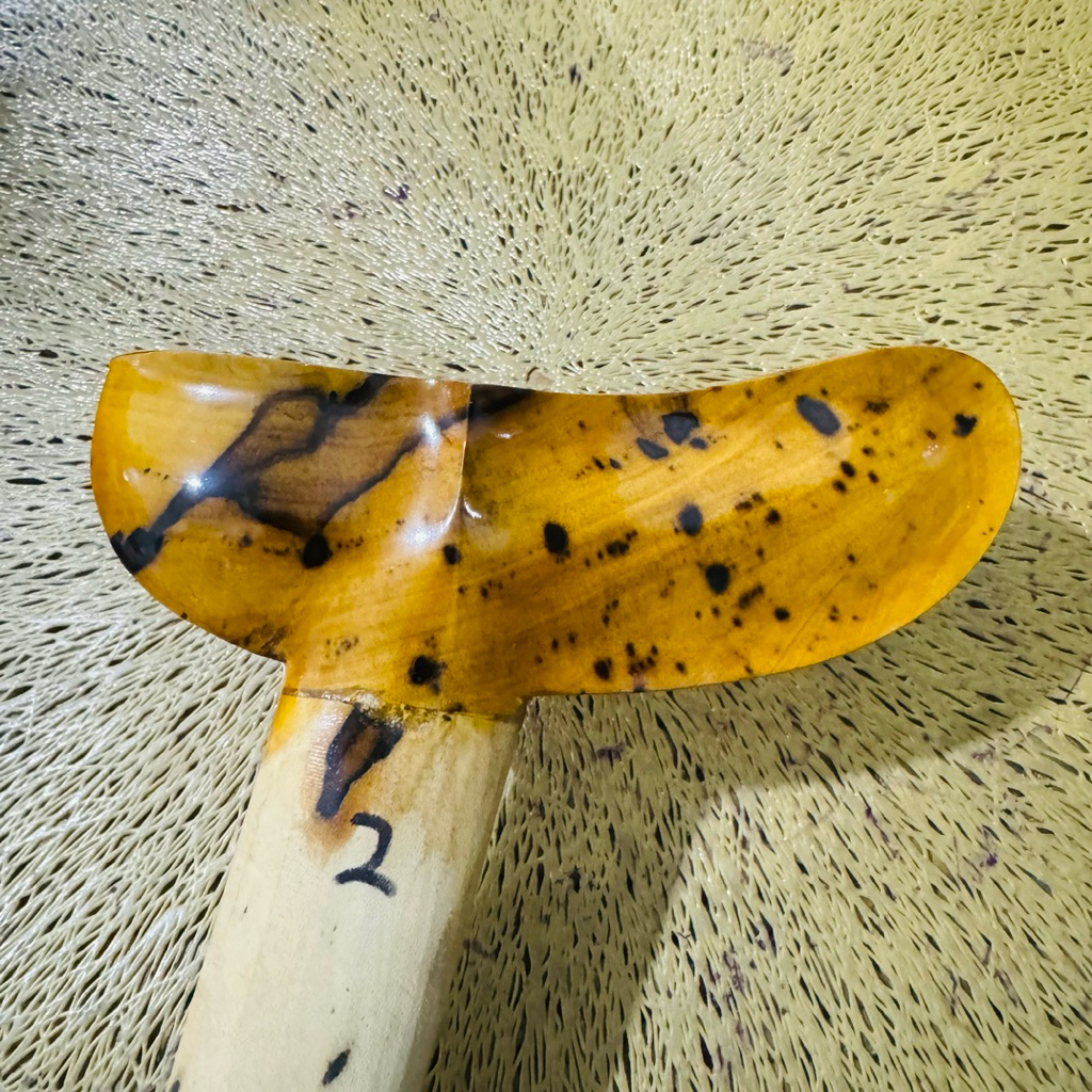 Warangka Gayaman Yogyakarta Timoho