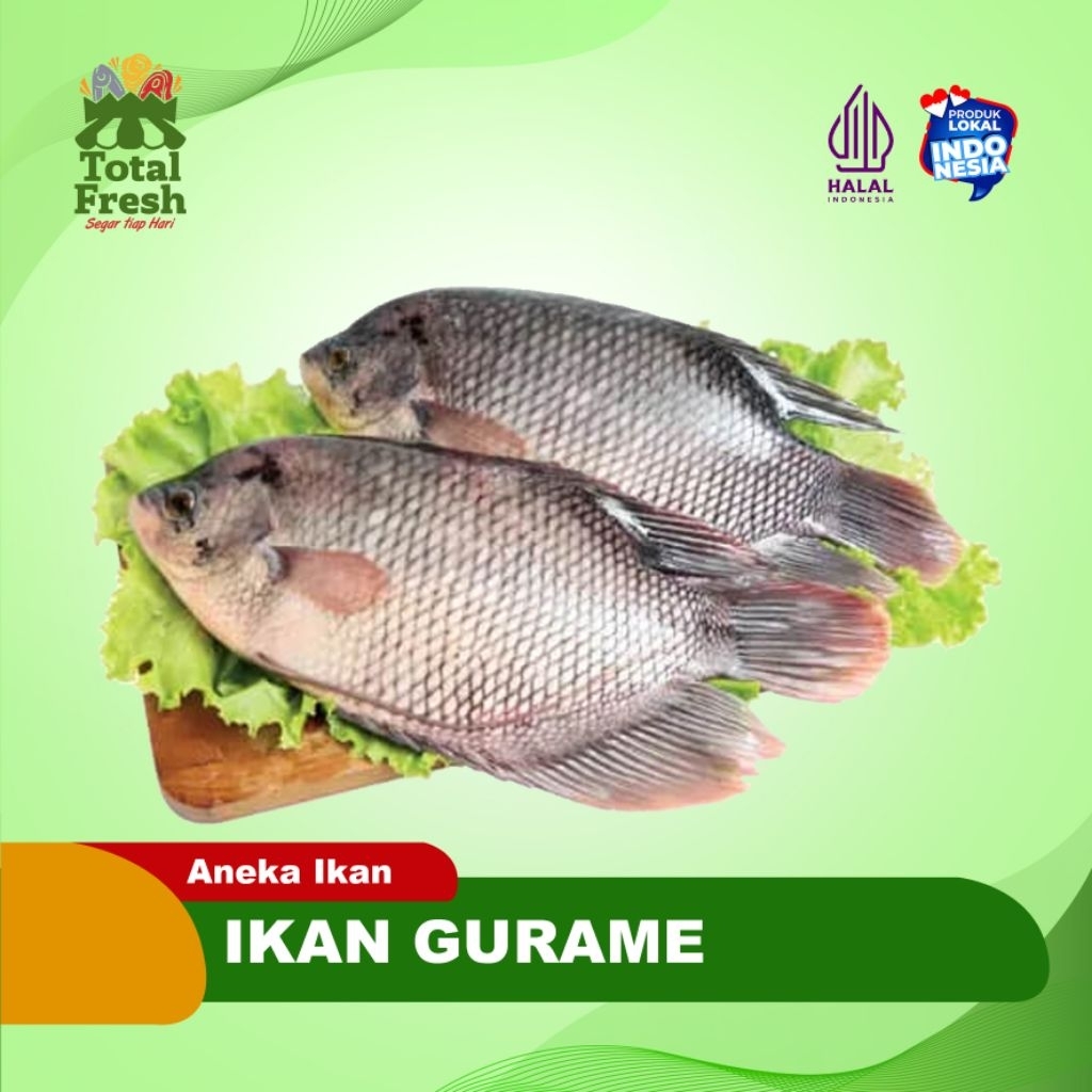 Ikan Gurame [1Kg]