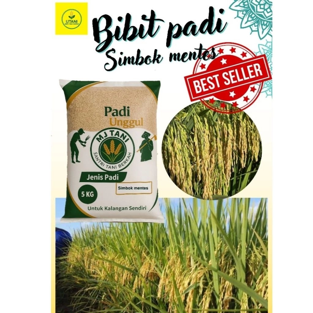 Bibit padi simbok mentes 5kg