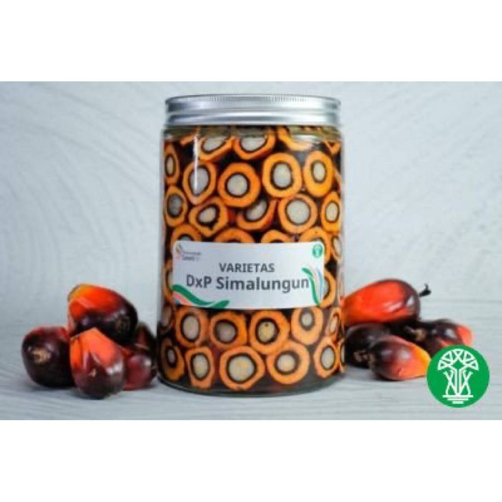 KECAMBAH DxP SIMALUNGUN RESMI SERTIFIKAT